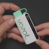 VOZOL Star 9000/12000 Disposable Vape Kit