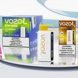 VOZOL Star 9000/12000 Disposable Vape Kit